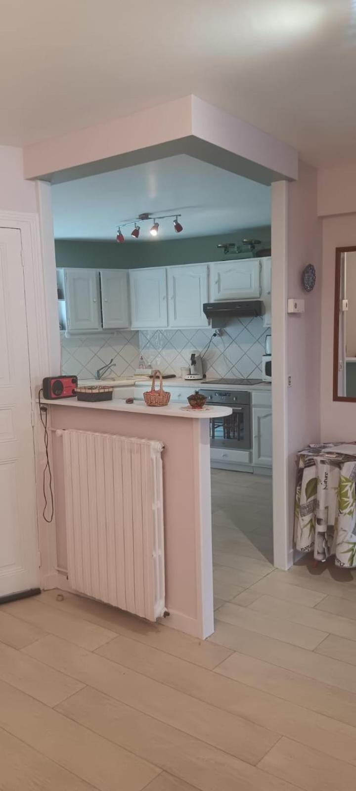 Appartement 120 M² Duplex Coeur Historique Au Calme Le Puy-en-Velay Kültér fotó