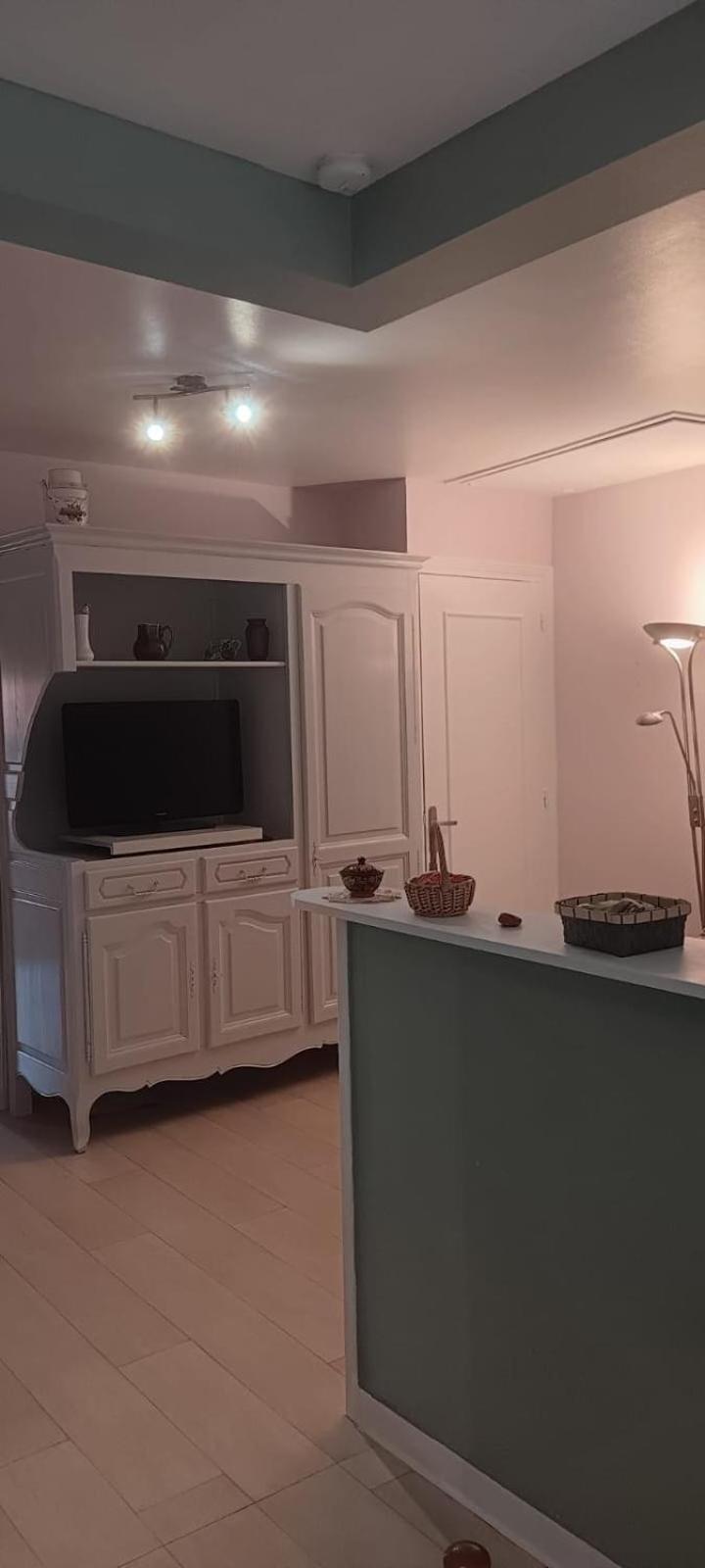 Appartement 120 M² Duplex Coeur Historique Au Calme Le Puy-en-Velay Kültér fotó